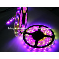 super bright 12 volt leds IP65 5m 300SMD RGB 5050 led strip light